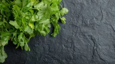 garnishing-instructions-image